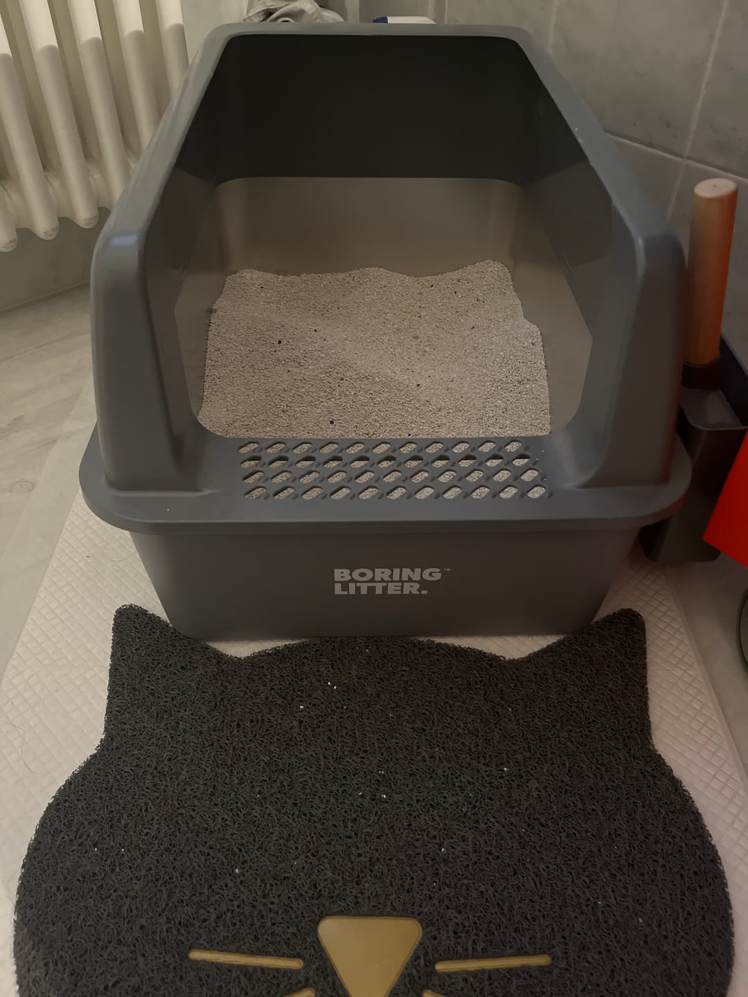Customer photo review of BORING LITTER - Lettiera in Acciaio INOX
