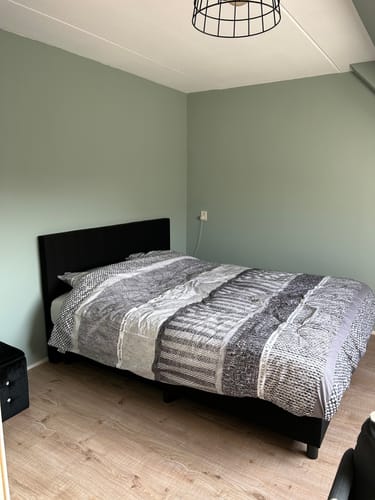 Customer photo review of Boxspring Miracle