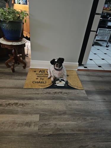 Customer photo review of Visit approved - Personalized Doormat