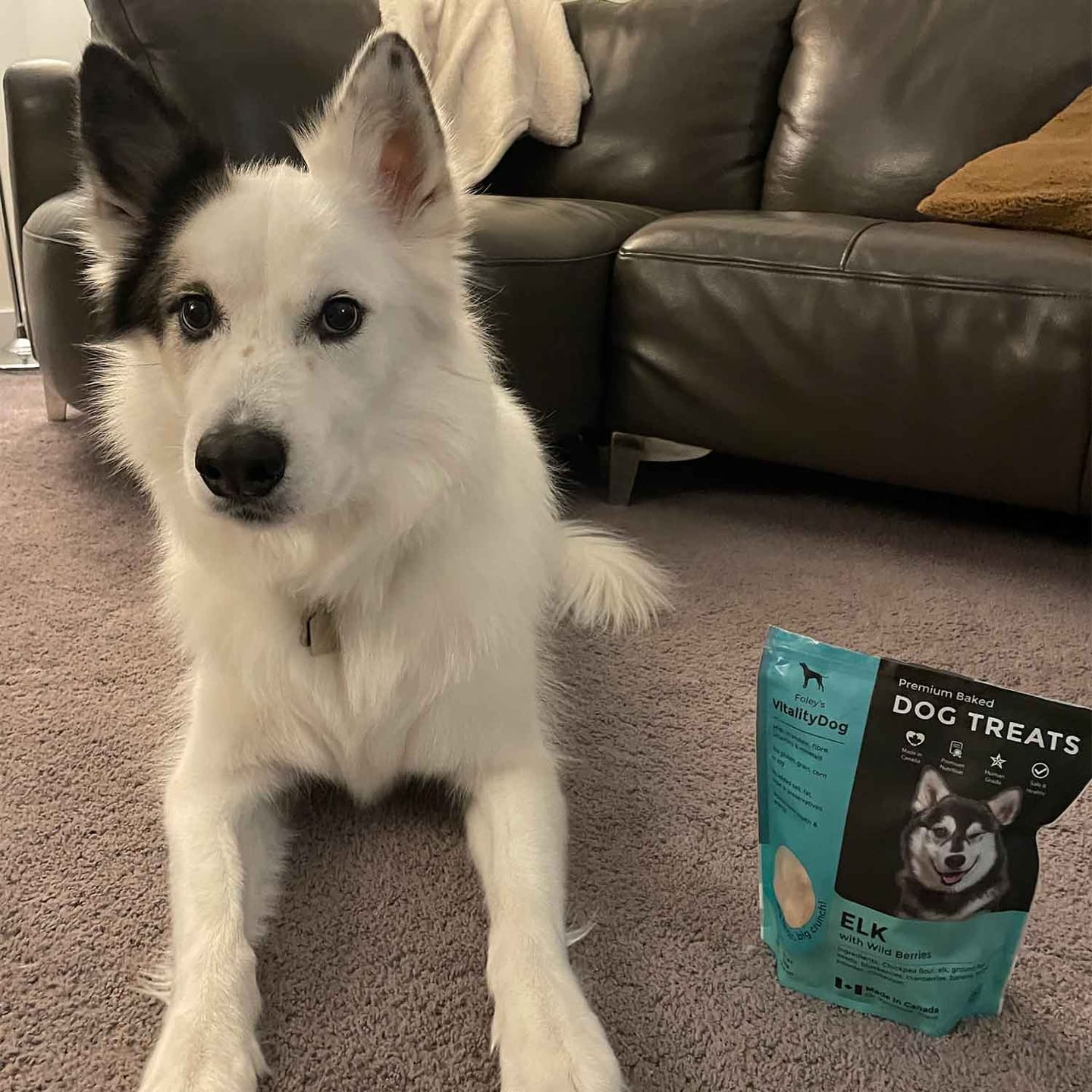 Customer photo review of Elk with Wild Berries