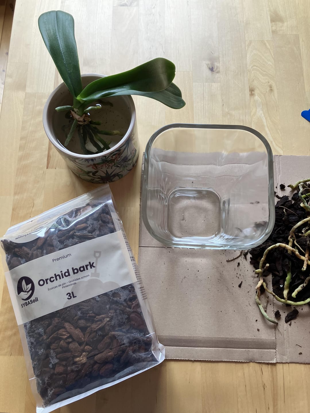 Customer photo review of Orchid Bark