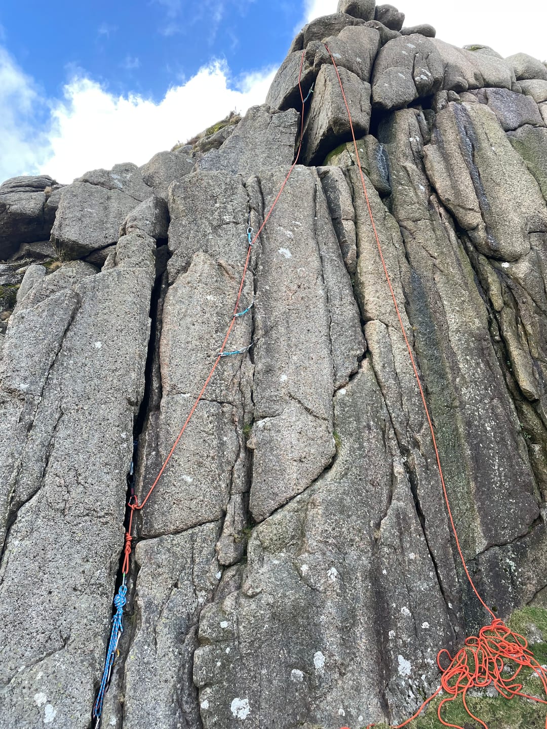 Customer photo review of "Soft-Cinch" - Lead Rope Solo Backfeed Preventer (5 Pack)