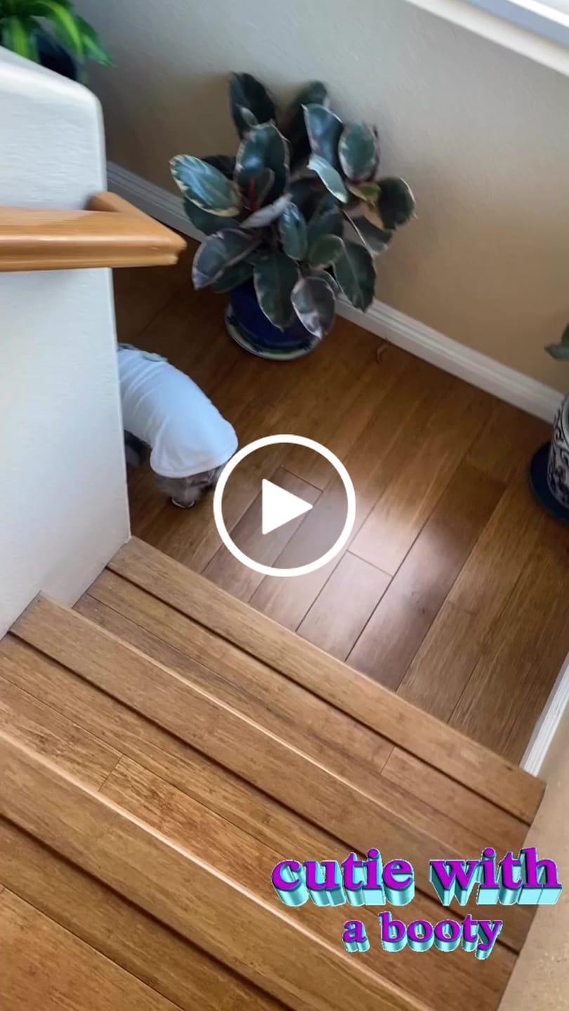 Customer video review of Caesar 2