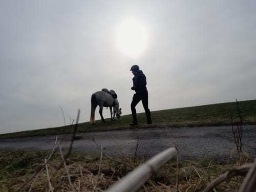 Customer photo review of Tofana