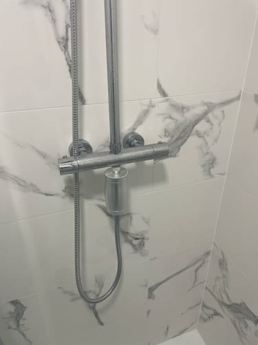 Customer photo review of The Gaia Shower Filter