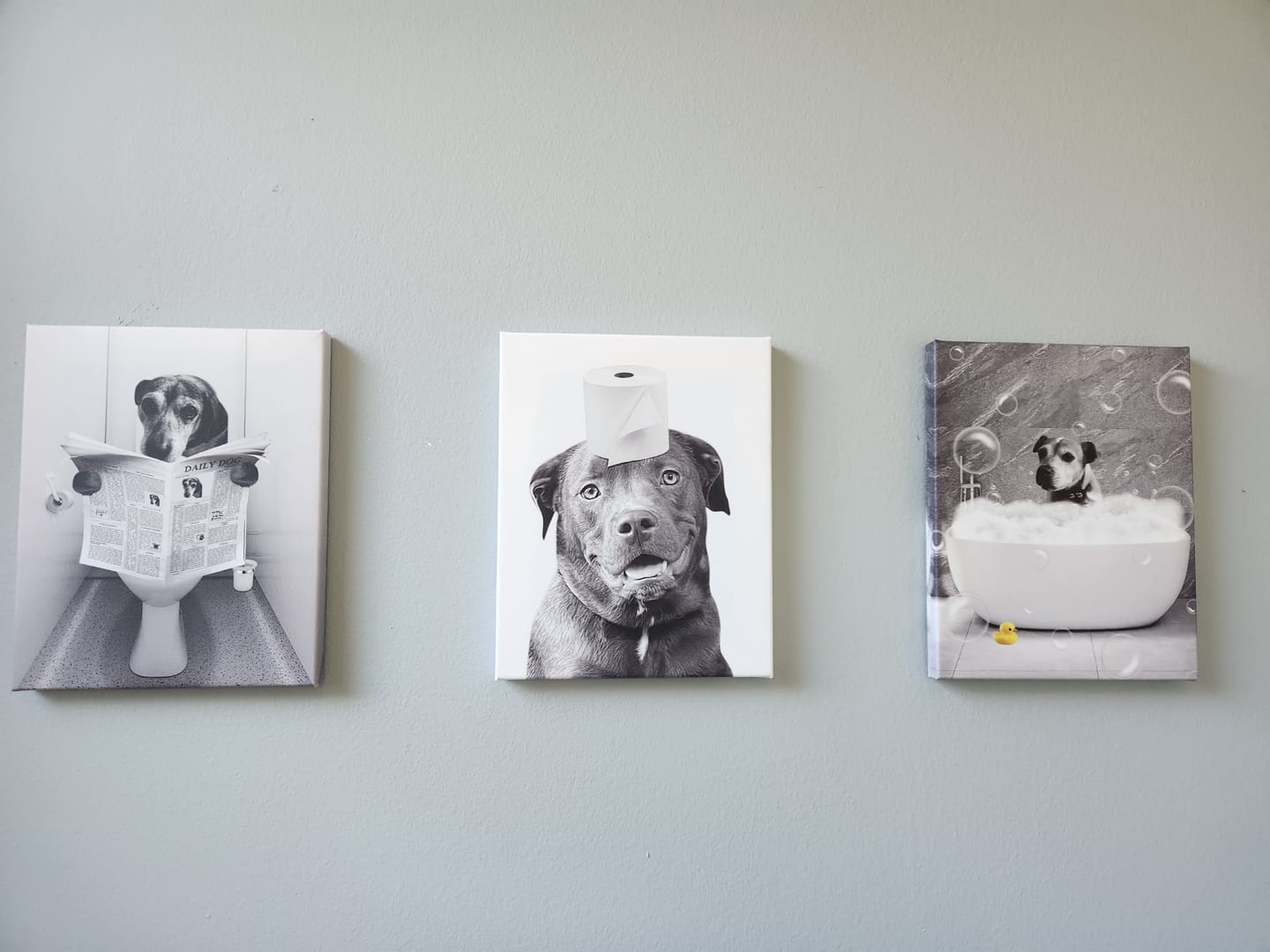 Customer photo review of Custom Pet Portrait Painting Wall Art Custom Black And White Canvas Print from Photos