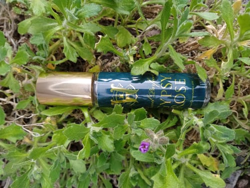 Customer photo review of Gypsy Rose