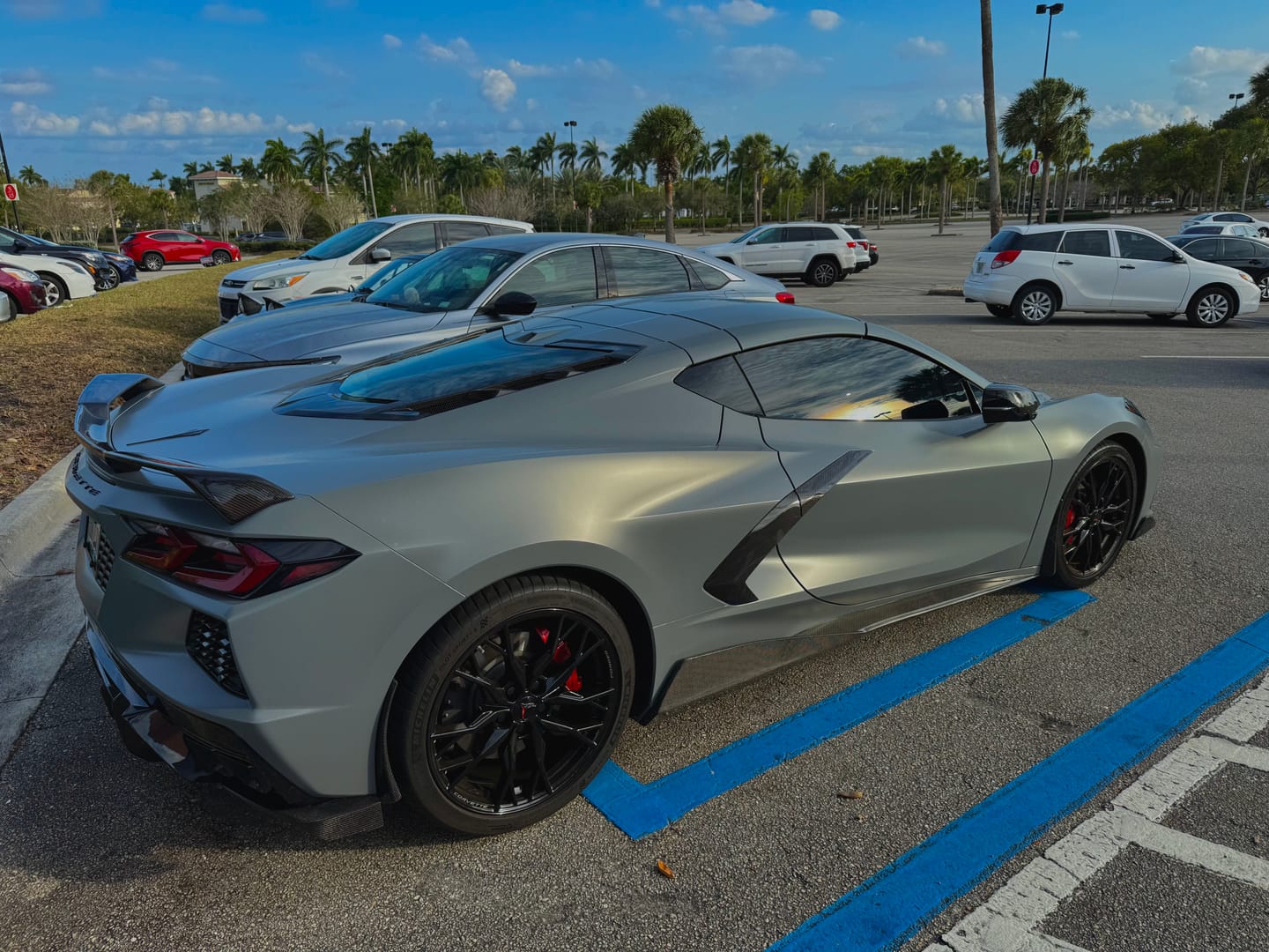 Customer photo review of Chevrolet Corvette C8 5VM Side Skirts