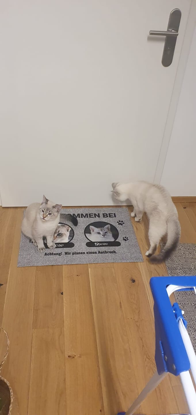 Customer photo review of Foto mit Namensschild - Individuelle Fußmatte