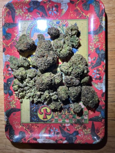 Customer photo review of Dealer's Choice