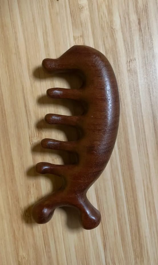 Customer photo review of Saludea Meridian Comb