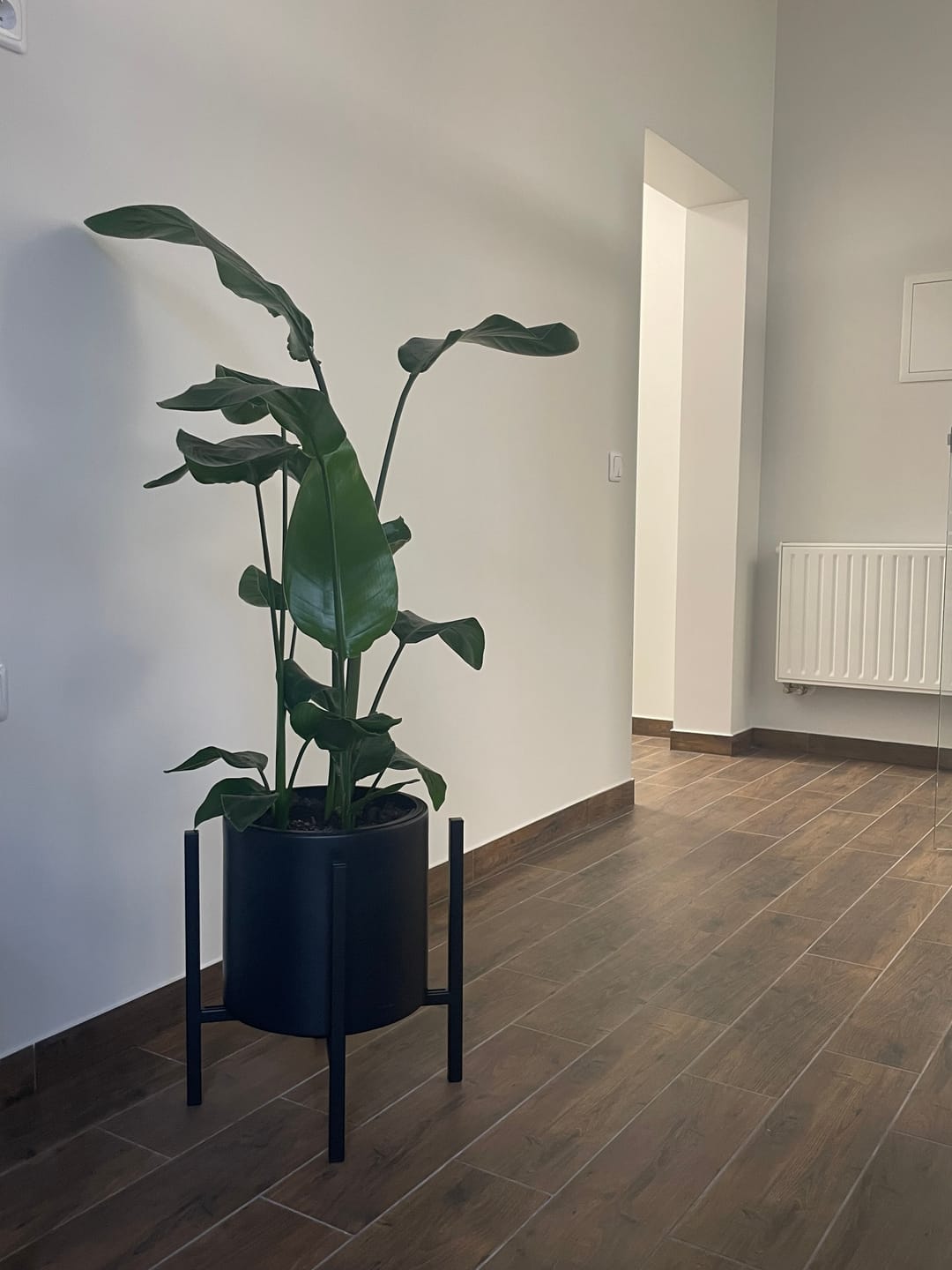 Customer photo review of Vazonų stovas GELA