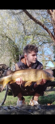 Customer photo review of PACK AMBASSADEUR + TRANSPORT INCLUS