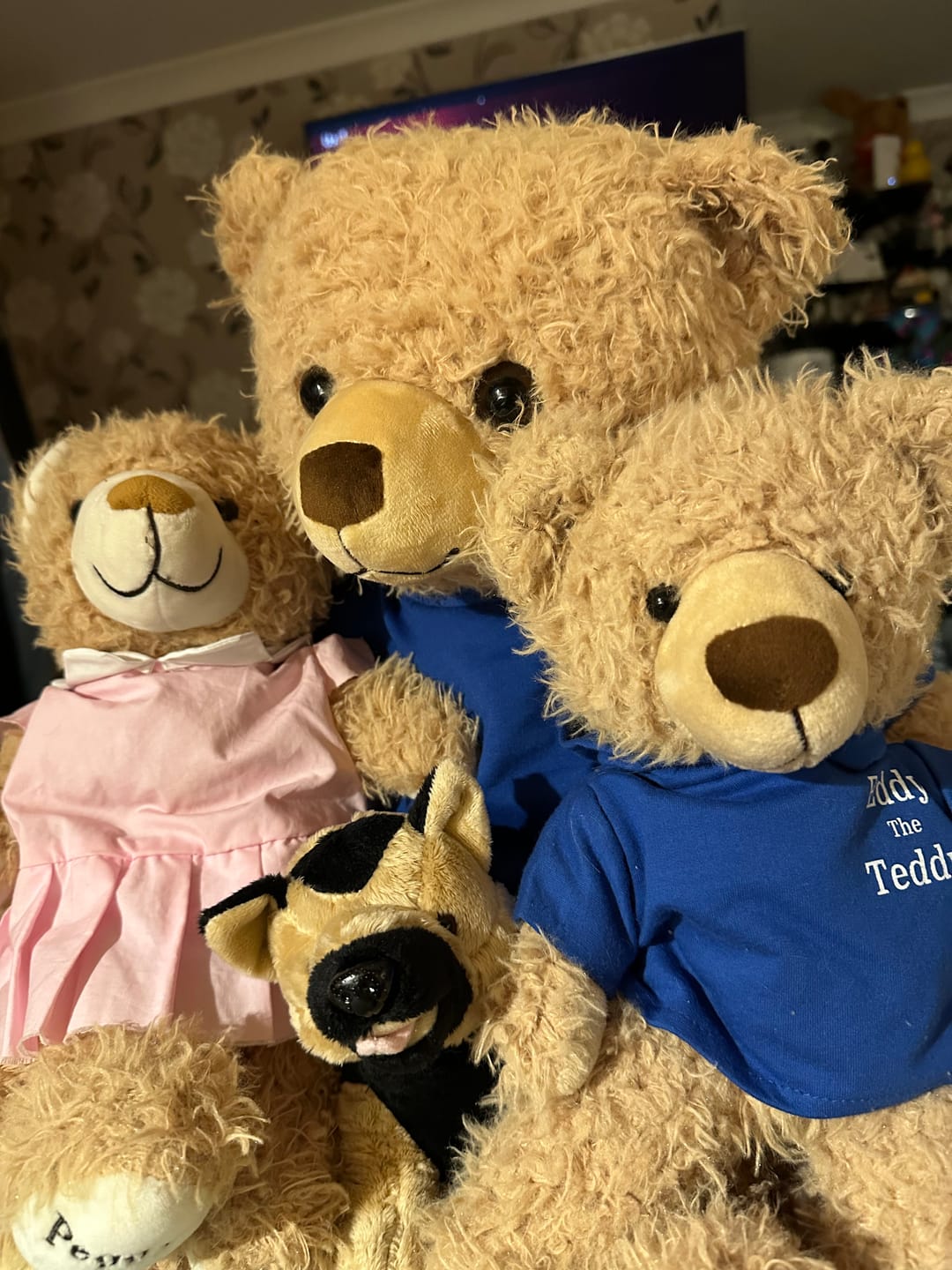 Customer photo review of Donate to Eddy the Teddy