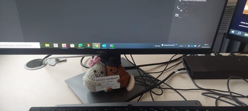 Customer photo review of PATATES AMOUREUSES