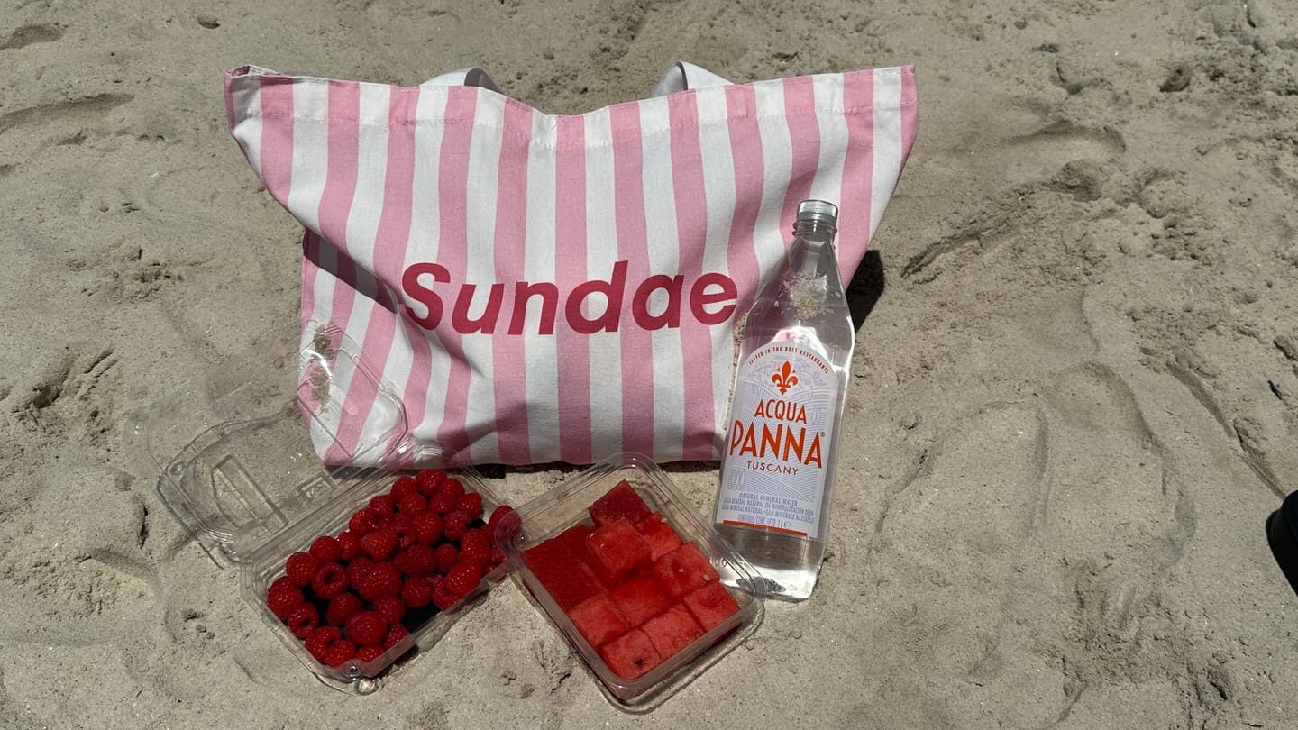 Customer photo review of The Sundae Tote