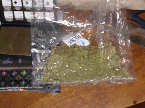 Customer photo review of Garlic Breath