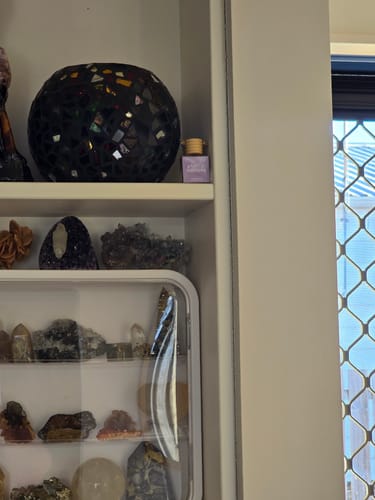 Customer photo review of Plum Mimosa Car Diffuser