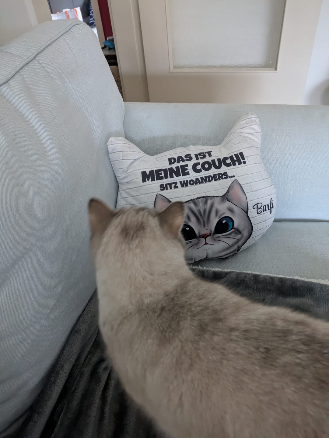 Customer photo review of Unsere Couch - Individuelles Formkissen