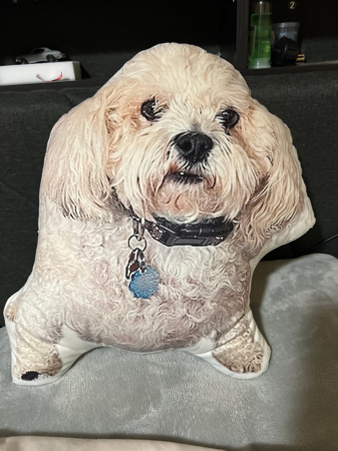 Customer photo review of Custom Dog Shaped Memorial Pillow for Pet Owners from Your Pet Picture