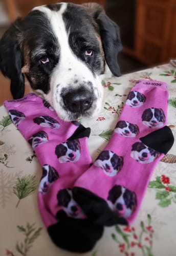undefined review of Personalisierte Socken mit deinem Haustier image 1 out of 2