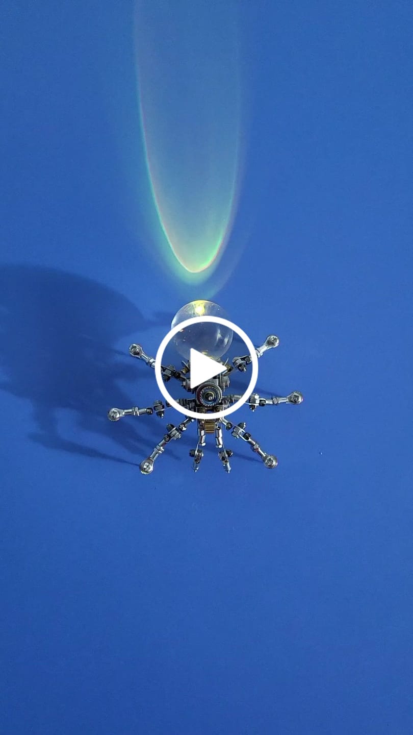 Customer video review of Crystal Lamp Jumping Spider
