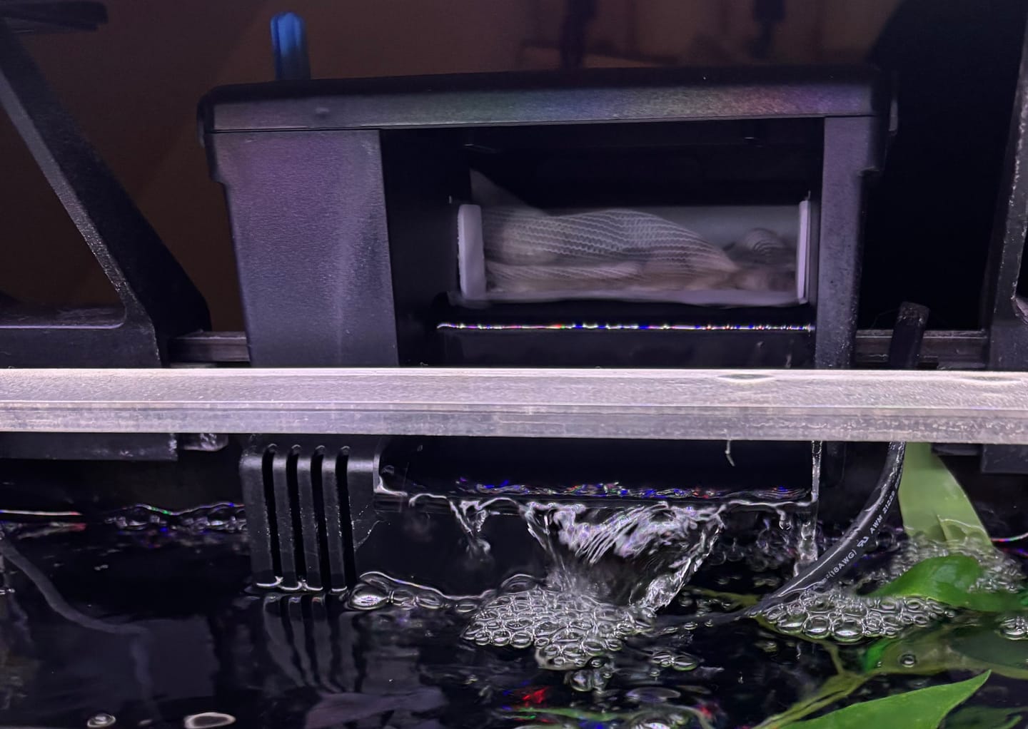 Customer photo review of Tidal Power Filters From Seachem/Sicce