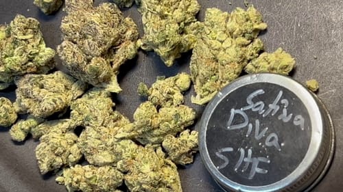 Customer photo review of Sativa Diva