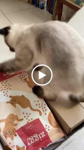 Avis vidéo d'un client sur Pâtée Chat Stérilisé Sans Céréales - Poisson Blanc