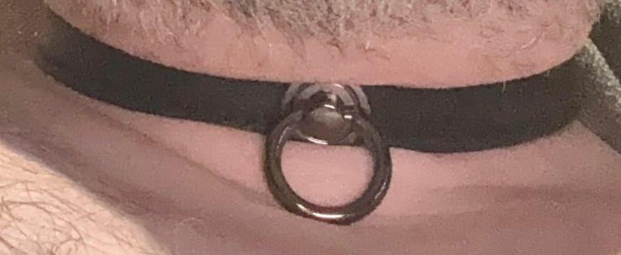 Customer photo review of SiaLinda: Halsband echtes Elch Leder schwarz, 2 Größen, 2 O-Ringe, 20mm breit