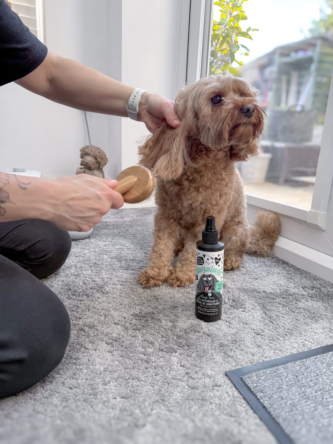 Customer photo review of 2 in 1 Detangler & Leave in Conditioner with Avocado & Coconut for Dogs
