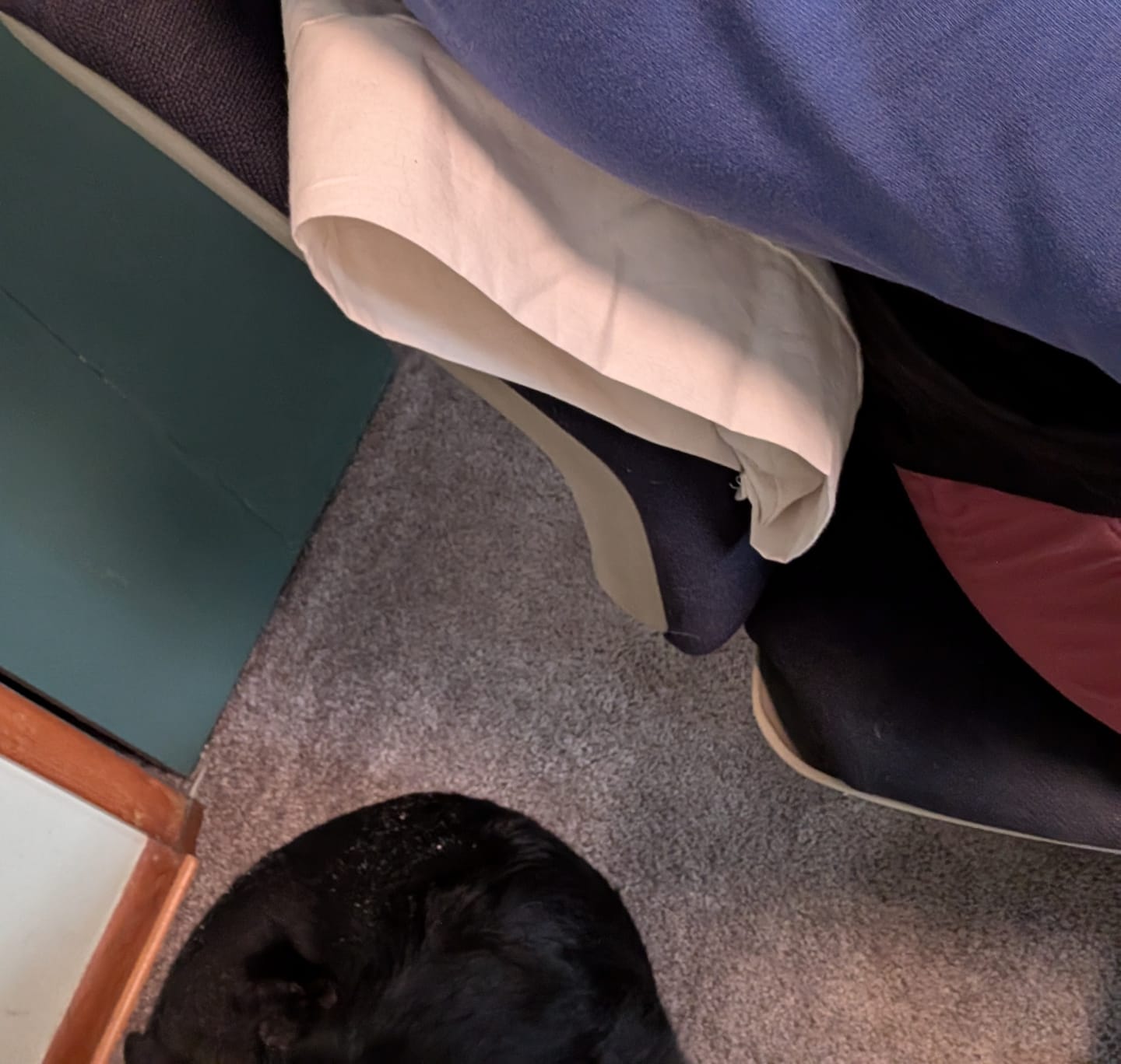 Customer photo review of Wool Travel Pillow and Pillowcase