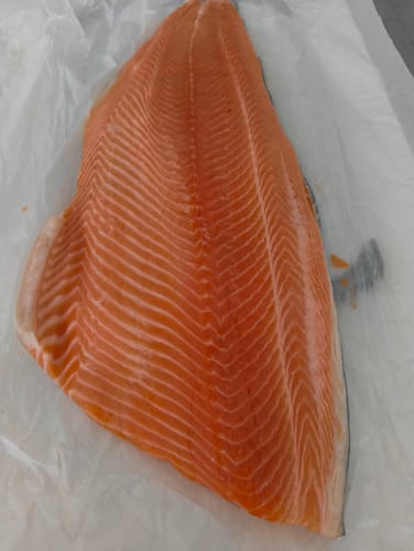 Customer photo review of Fresh Whole NZ Salmon Side / Fillet