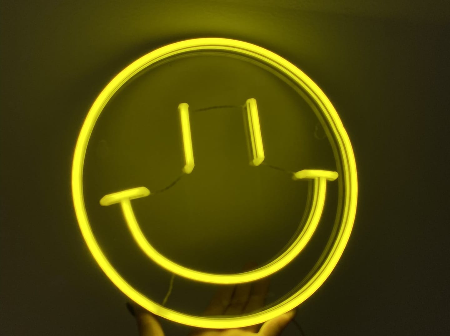 Customer photo review of Happy Face