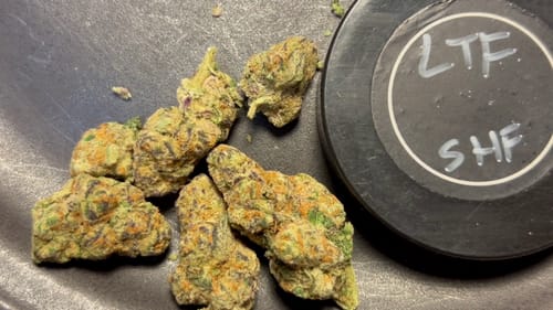 Customer photo review of Lemon Thunder Fuck