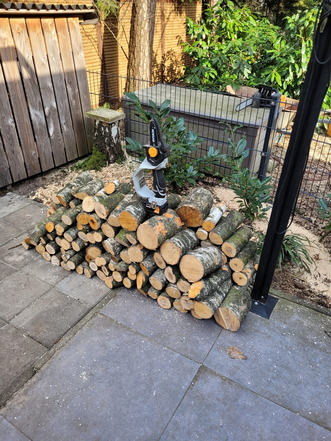 Customer photo review of 18V Nexxsaw Cordless One-Hand Chainsaw 6''