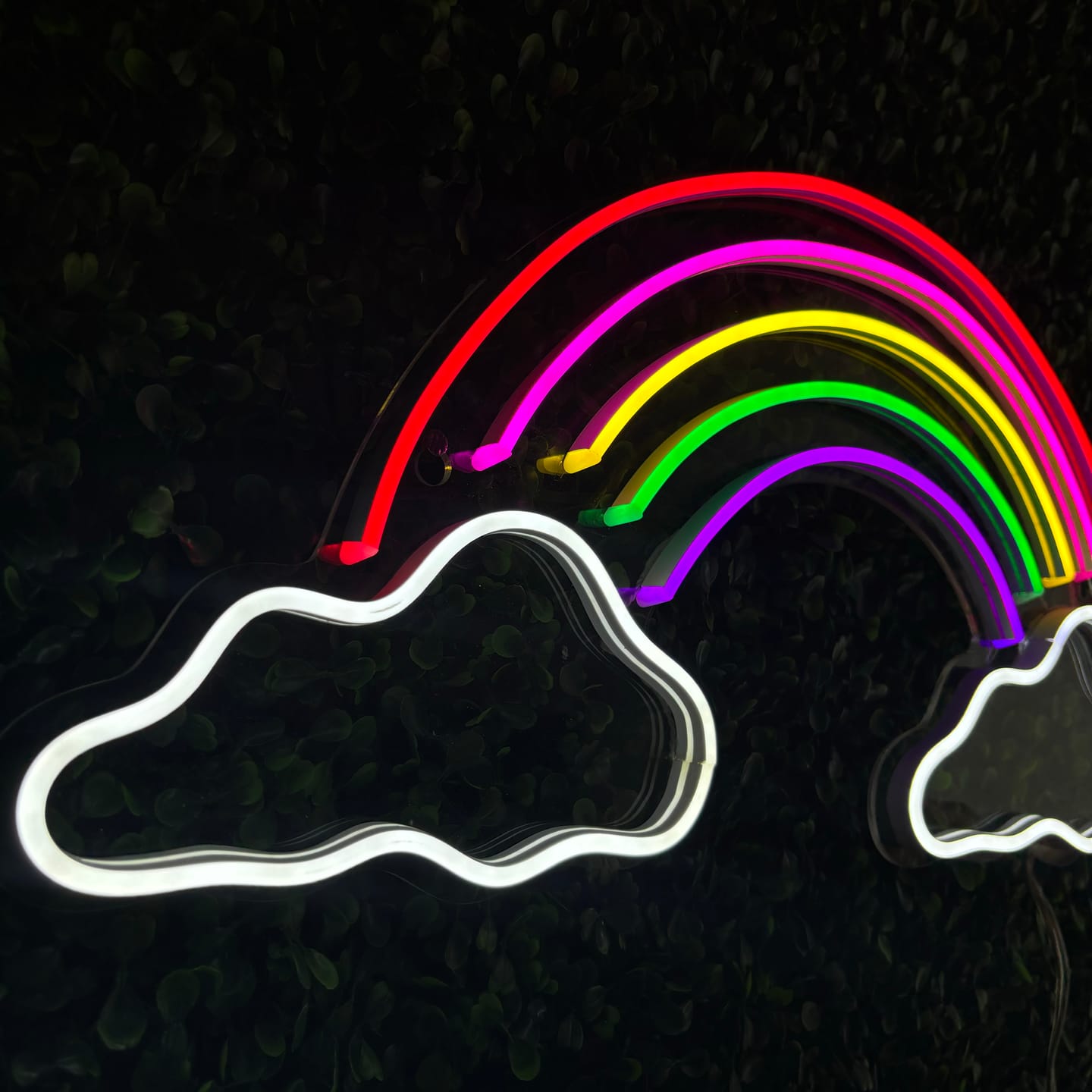 Customer photo review of Arcoiris