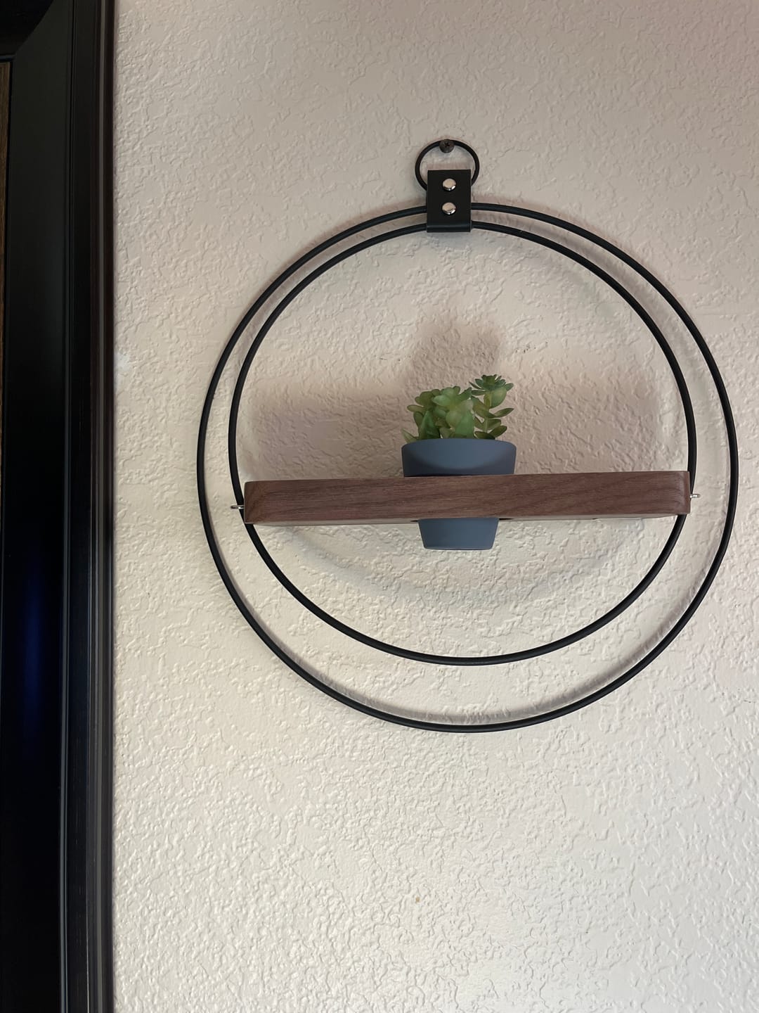 Customer photo review of Air Plant Shelf + Pot