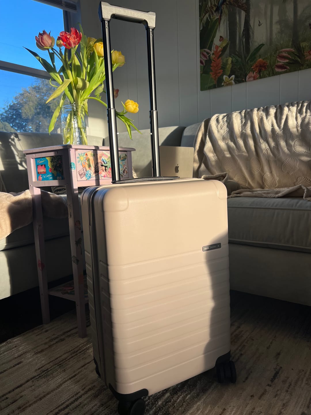 Customer photo review of Essential Collection Suitcase Monica Sand