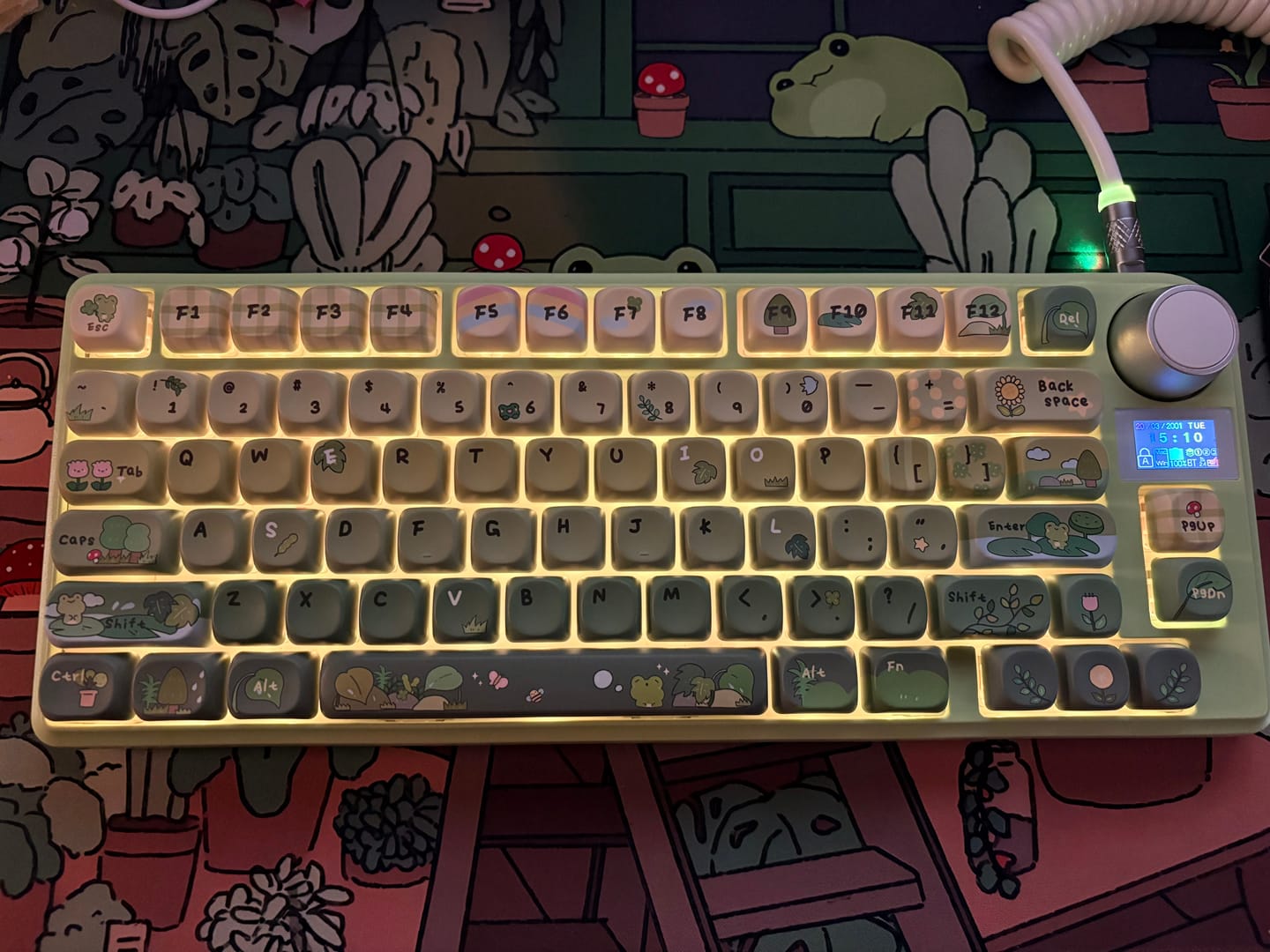 Customer photo review of KiiBOOM X Cosydiaries Rainy Froggy Day Keycap Set