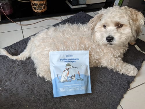Customer photo review of Box de Printemps Naturo - Nettoyants + Anti-parasitaires Naturels