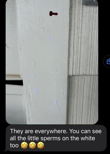 Customer photo review of Spring Loaded Dick Bomb!