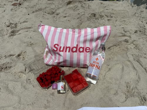 Customer photo review of The Sundae Tote