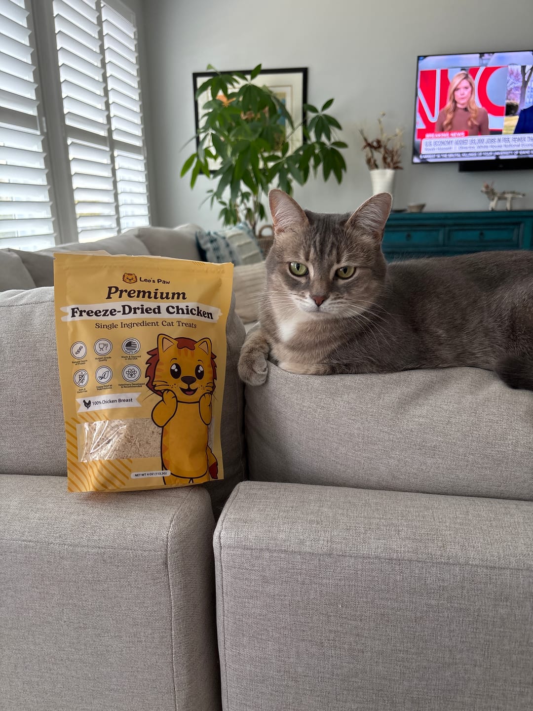 Customer photo review of Freeze Dried Chicken Treats