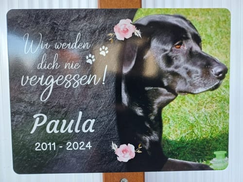 Customer photo review of Hunde Gedenktafel mit Foto & Spruch (UV- &  Wetterfest)