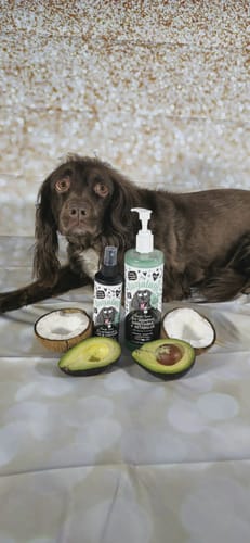 Customer photo review of 3 in 1 Tangle Tame Dog Shampoo, Conditioner & Detangler