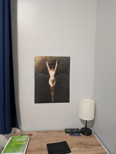 Customer photo review of The Bat Woman | Albert Joseph-Pénot | 1890