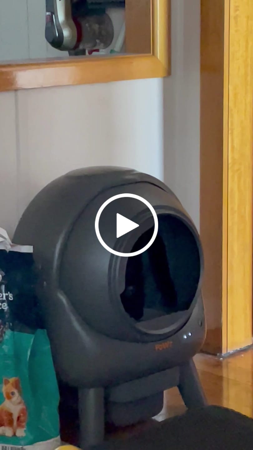 Customer video review of PaWz Smart Cat Litter Box Automatic Self Cleaning with APP Control Odor-Removal