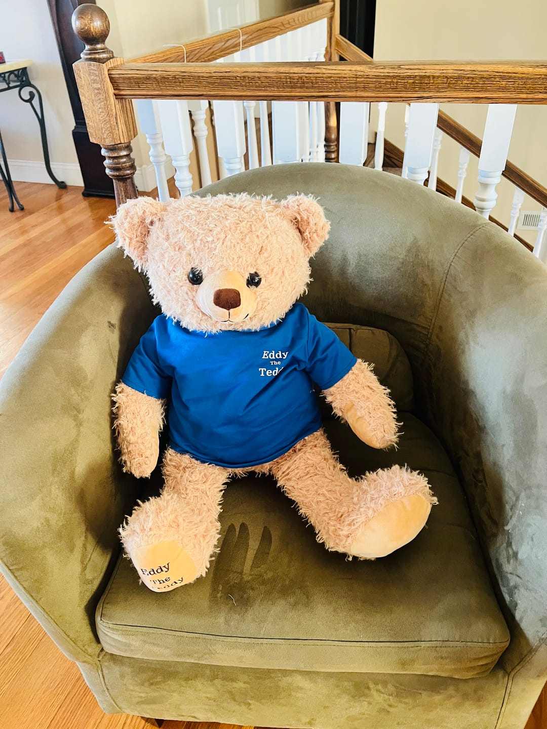 Customer photo review of 65cm Original Eddy the Teddy