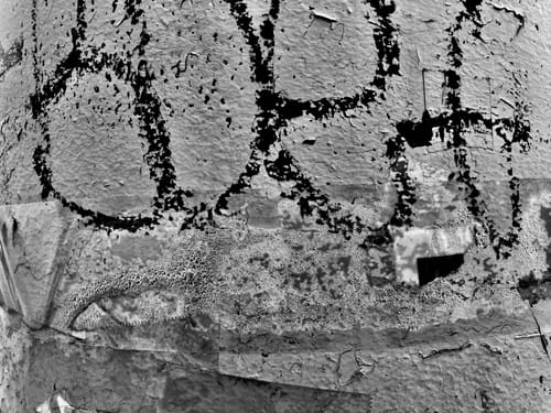 Customer photo review of 8x11 Photo Prints